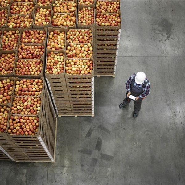 Aerial view of crates of apples waiting to be transported from a warehouse