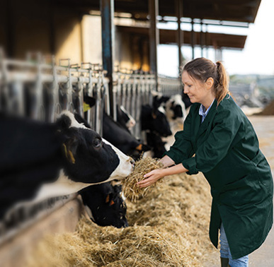 Agriculture Insurance