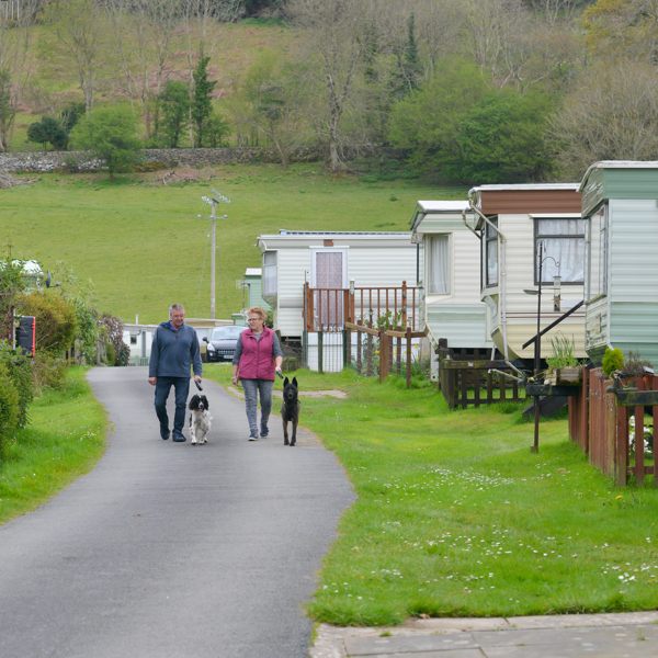 Couple walking dogs around a caravan site 