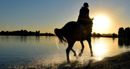 Horse And Rider Trotting Along A Lake Into The Sunset