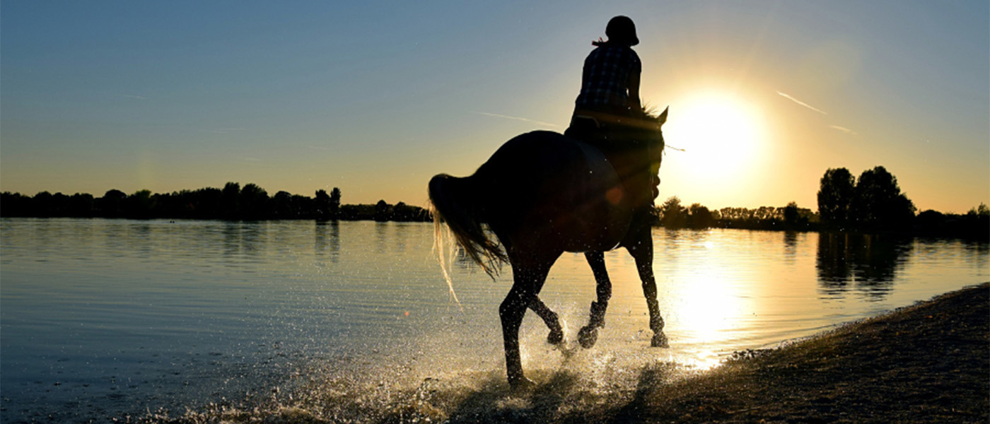 Horse And Rider Trotting Along A Lake Into The Sunset