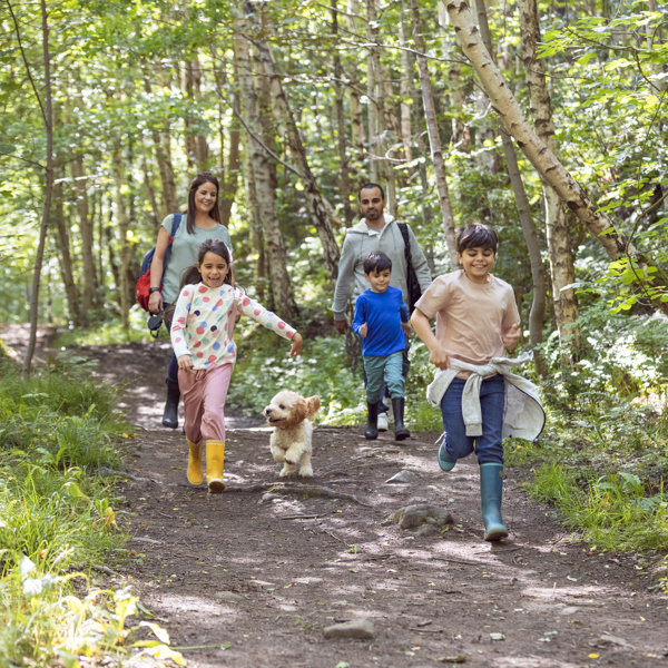 family walking in woodland